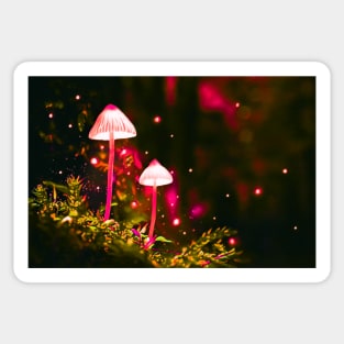 Mushroom Glow (Pink Glowing Mushrooms) Sticker